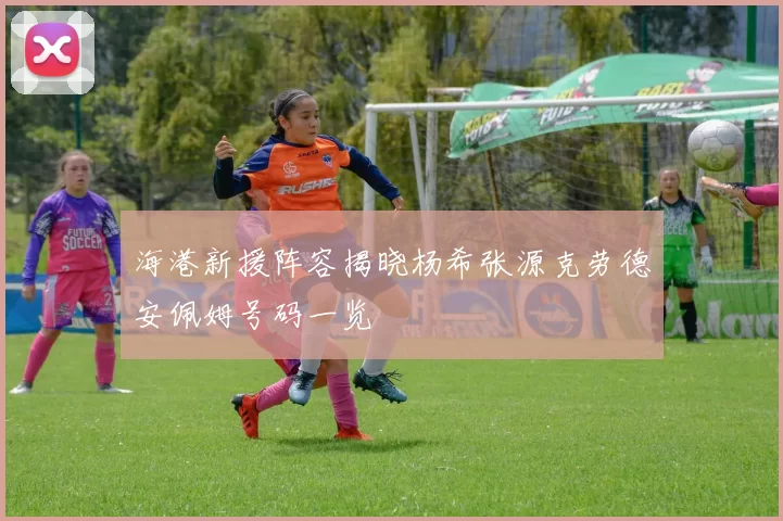 海港新援阵容揭晓杨希张源克劳德安佩姆号码一览