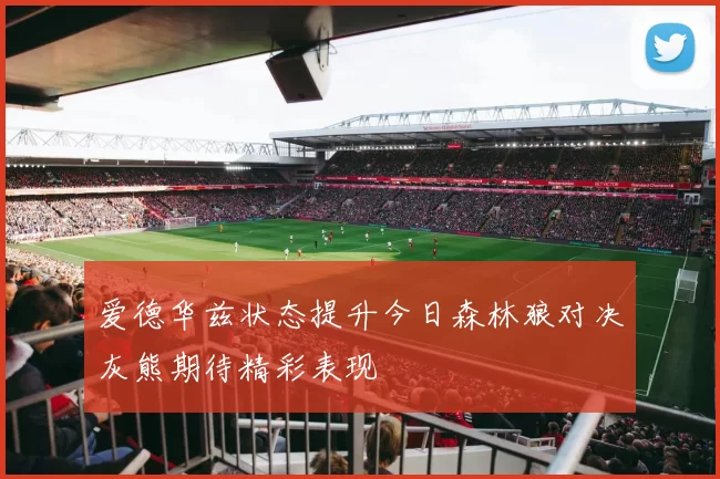 爱德华兹状态提升今日森林狼对决灰熊期待精彩表现