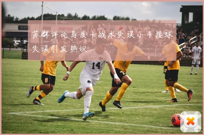 苏群评论乌度卡战术失误小卡接球失误引发热议